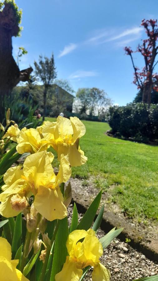 La Corte B&B Passirano Zewnętrze zdjęcie
